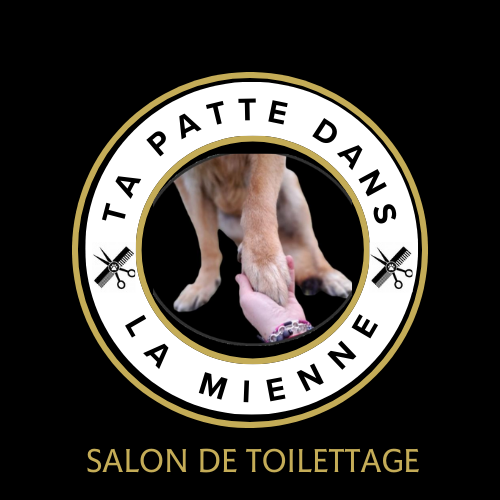 logo salon toilettage