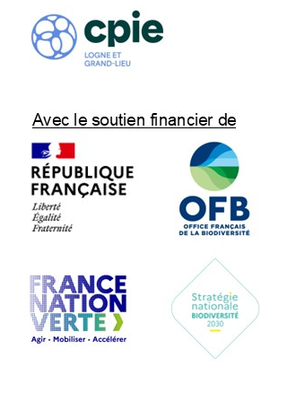 logos ABC 2026