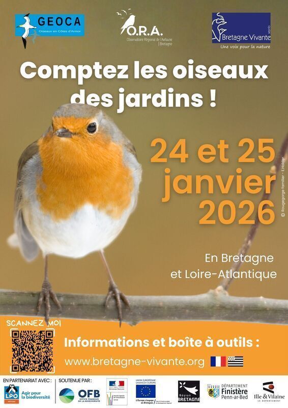 Oiseaux 2026