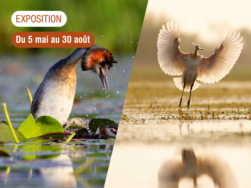 Au fil de l'eau expo