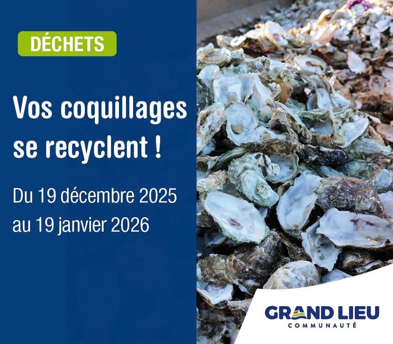 collecte coquillages 2025