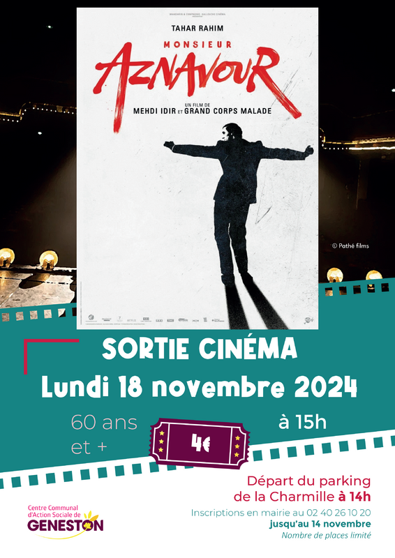 sortie cinéma novembre 2024