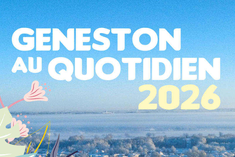 Vignette guide 2026