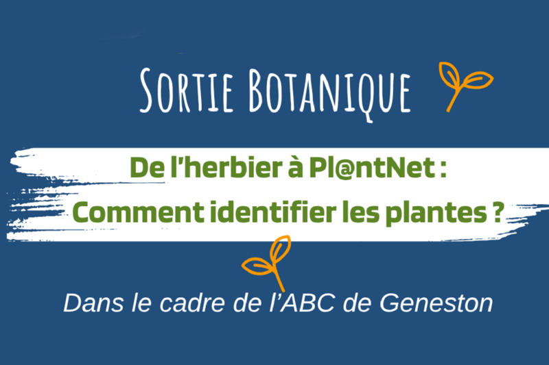vignette sortie ABC 2026